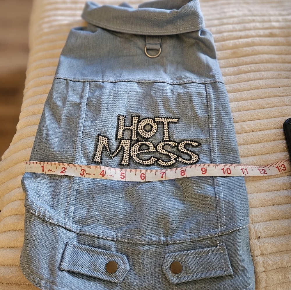 Light Blue Dog Jacket with 'Hot Mess' In Rhinestones